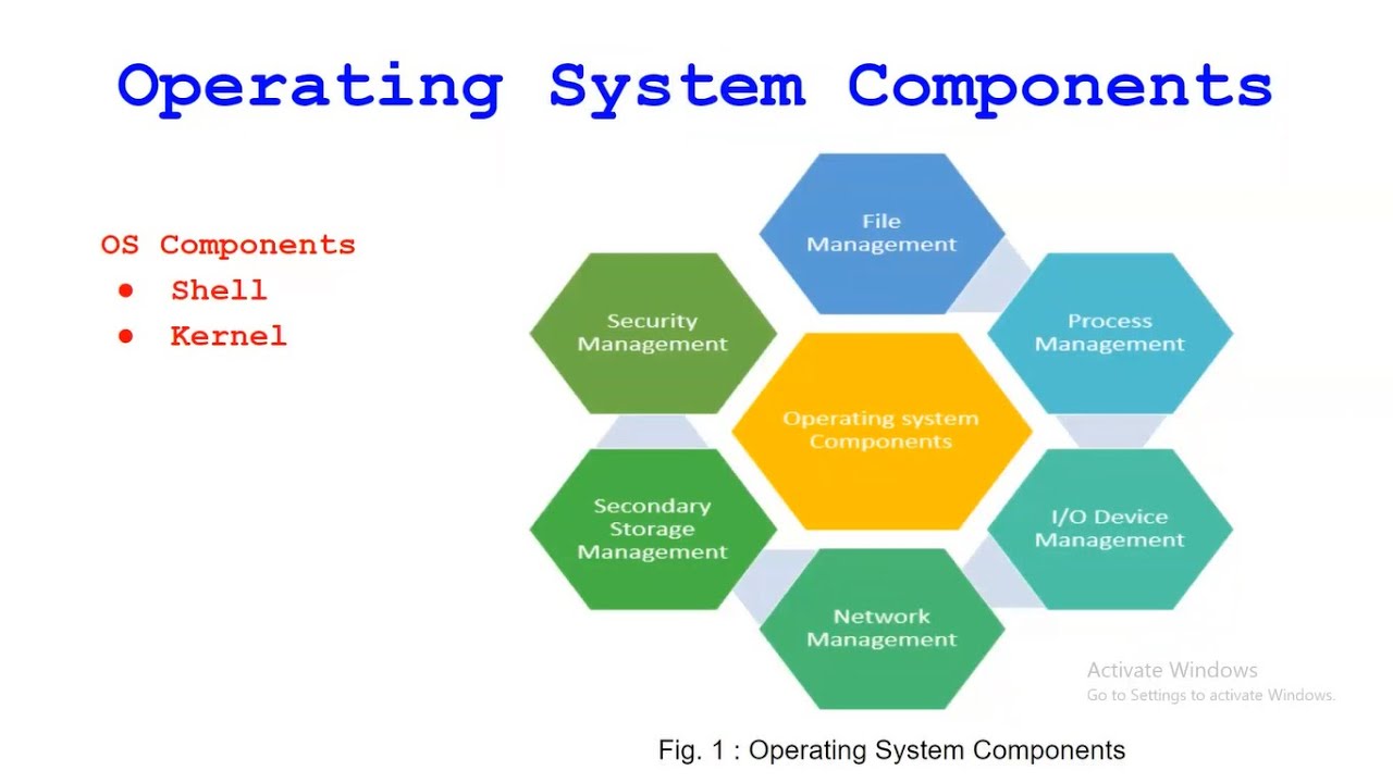 Operating System Components | System Calls | Virtual Machines