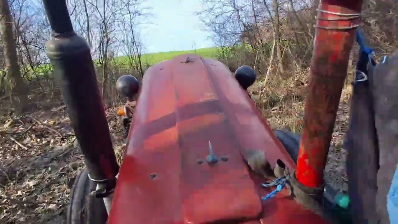 IMT539 I PUNA PROKLICA PANJČIĆA 