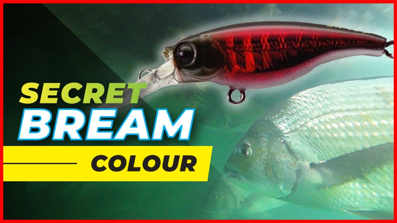 BEST Bream Lure (for Low Light) | Bream Fishing Lures