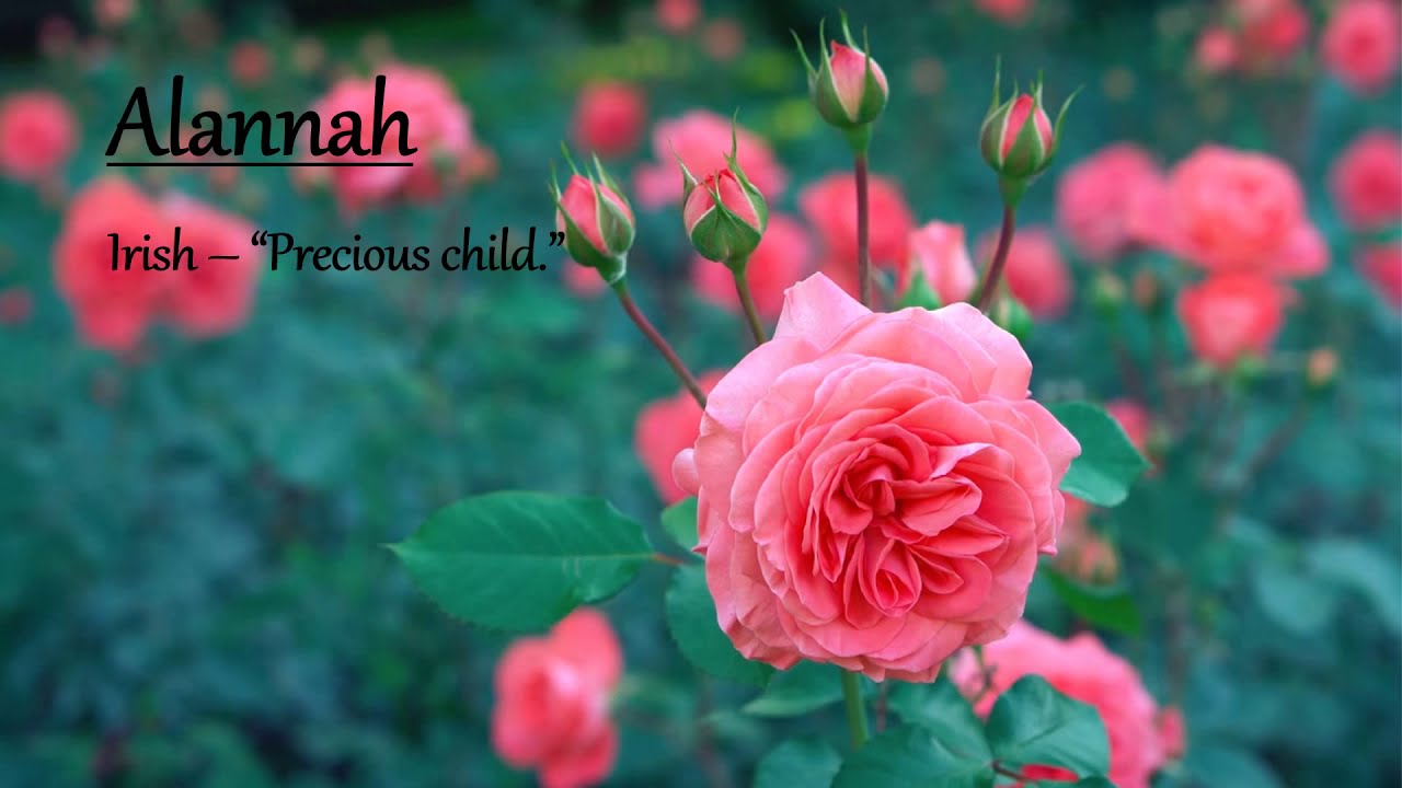 17 Beautiful Christian Girl Names!!!