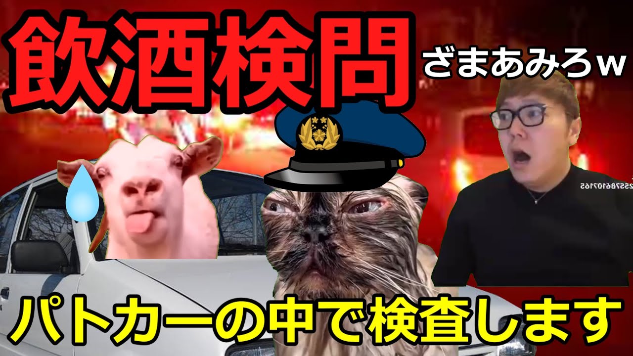 【猫ミーム】飲酒検問に捕まった占い師！！