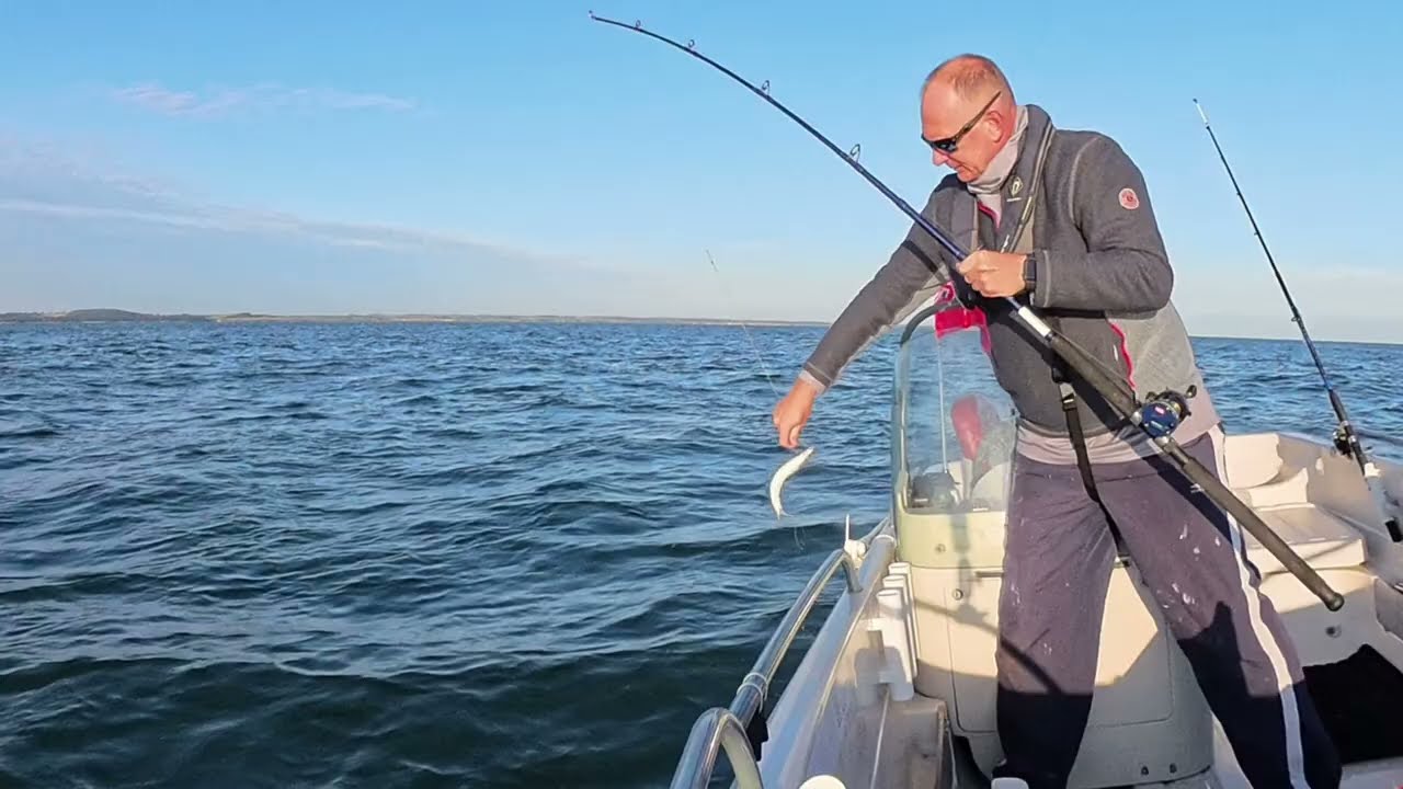 TERHI NORDIC 6020C FISHING AND BREKKIE
