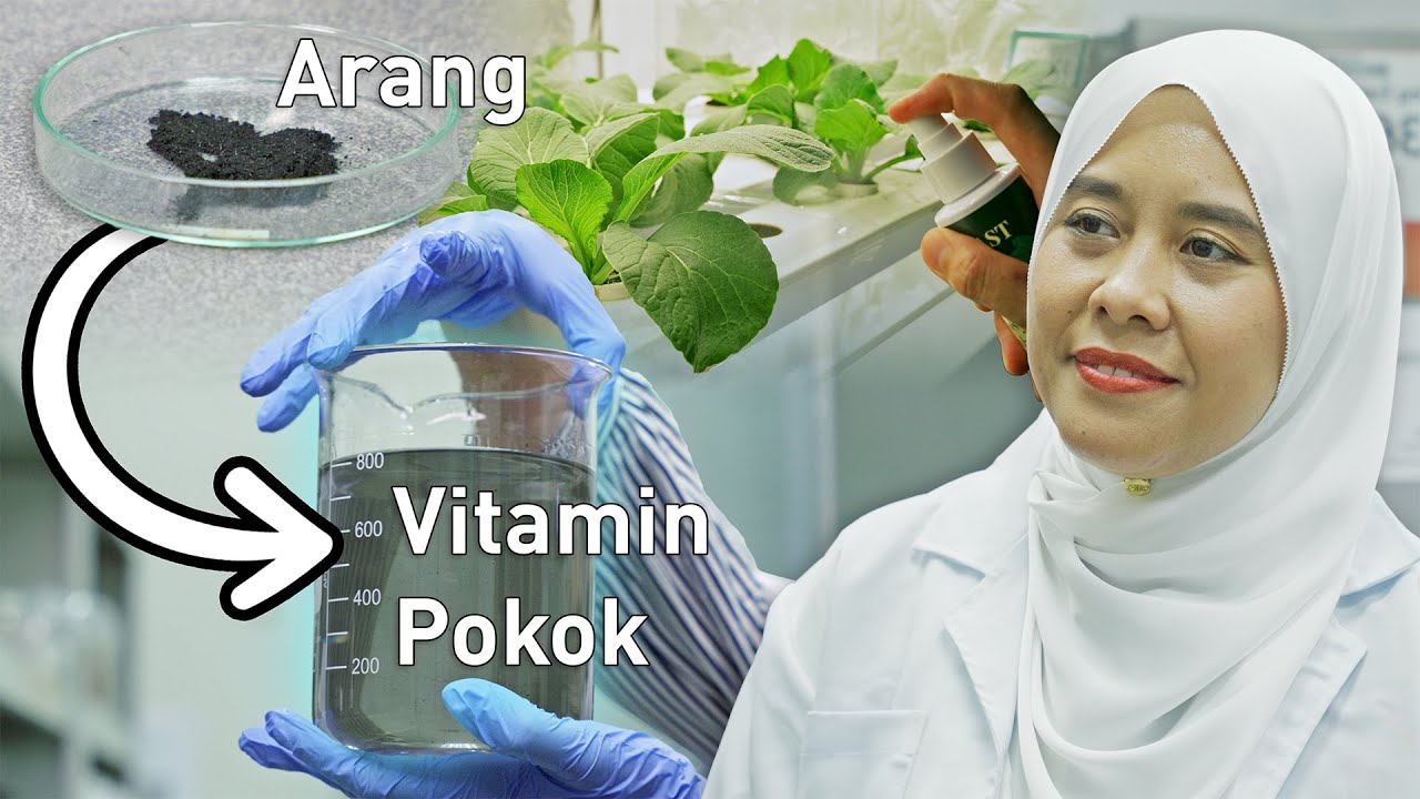Saintis MALAYSIA Jadi Pertama di Dunia Hasilkan Booster Fotosintesis | Harvast by Qarbotech