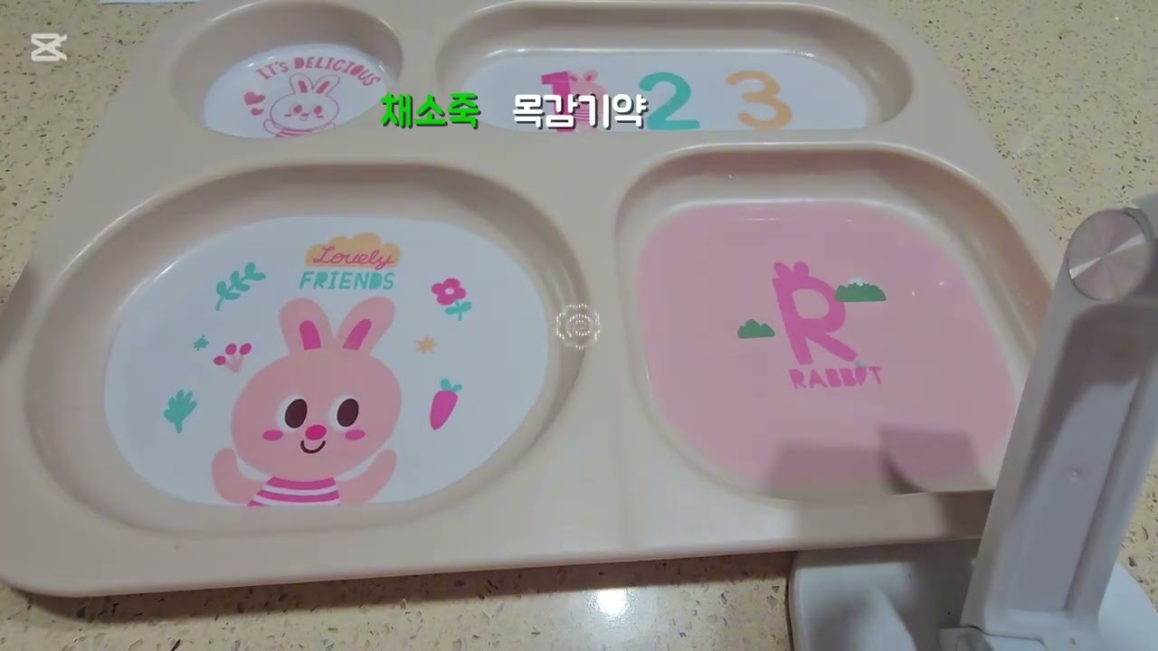  쭈꾸가 아파요🤒  #1((소리 없어요! 먹을때 빼고))  #쭈꾸 #쪼꼬 #인형계 #브이로그 #인형계 브이로그