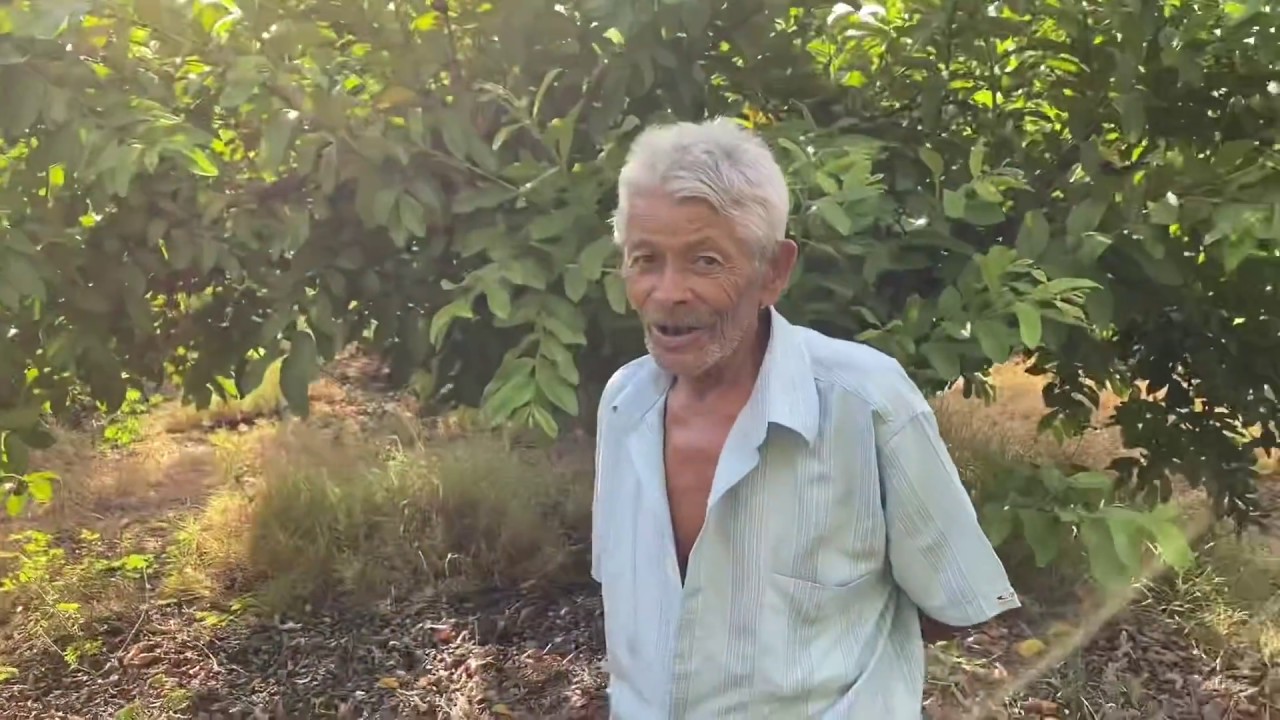 LOPIM, O GUARDIÃO DAS GOIABEIRAS, DÁ UMA SURRA EM CHARLLES 😂 | COMÉDIA SELVAGEM ®