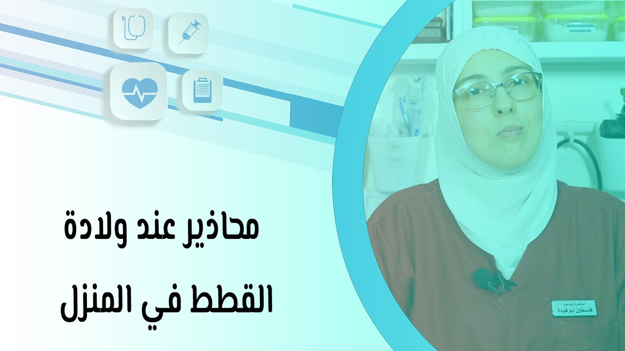 محاذير عند ولادة القطط في المنزل