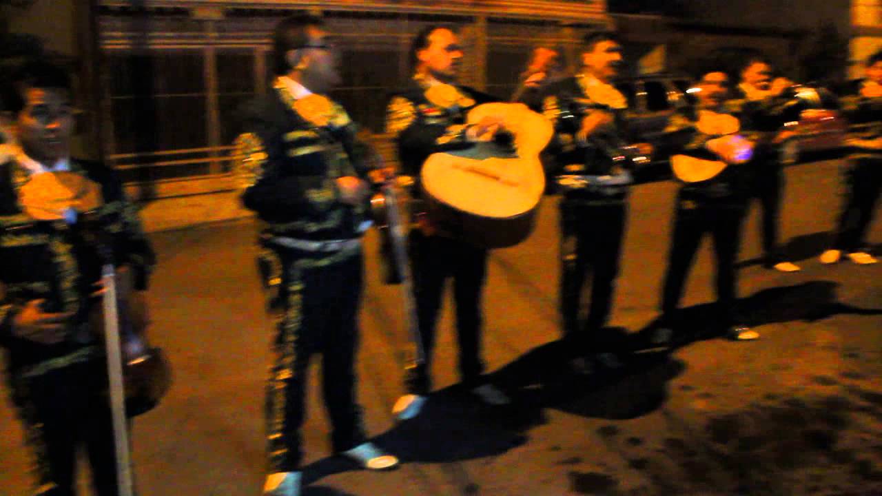 Serenata 2014.