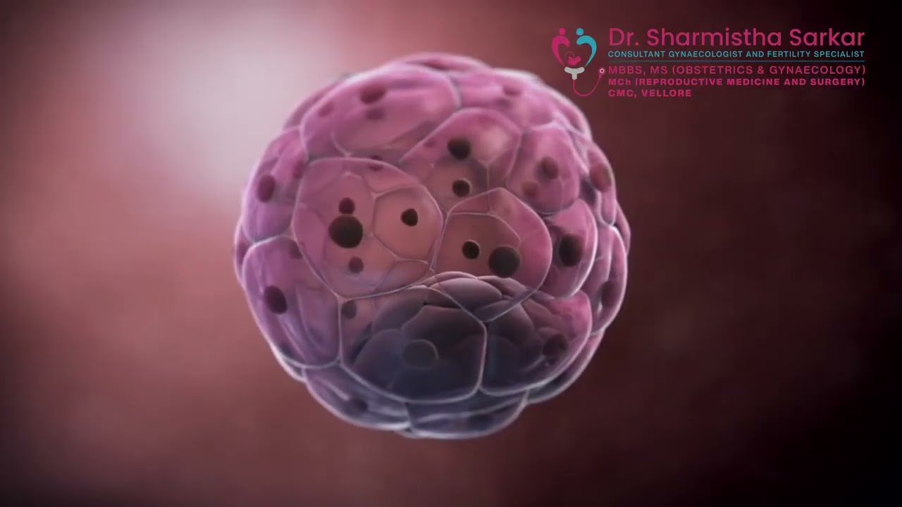 The fallopian tubes play a crucial role in natural conception and reproductive health