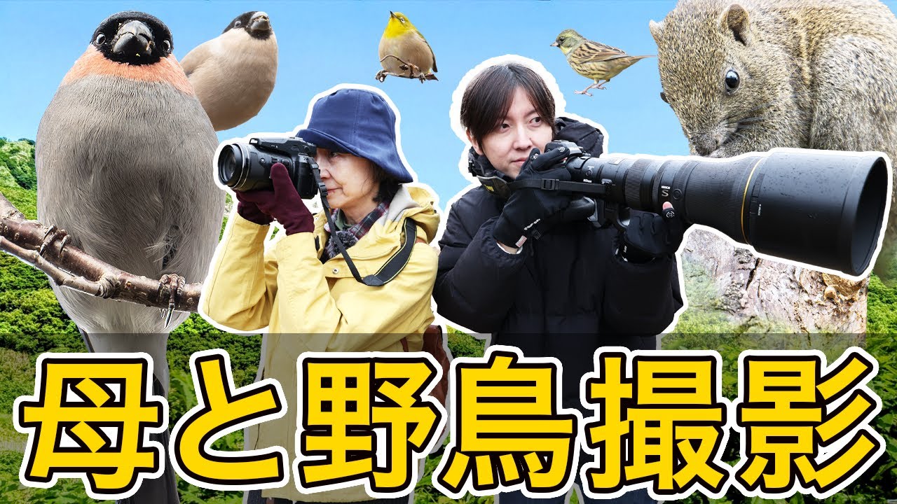 【COOLPIX P950】母と野鳥撮影 2024【Z9 Z800mmf6.3S】