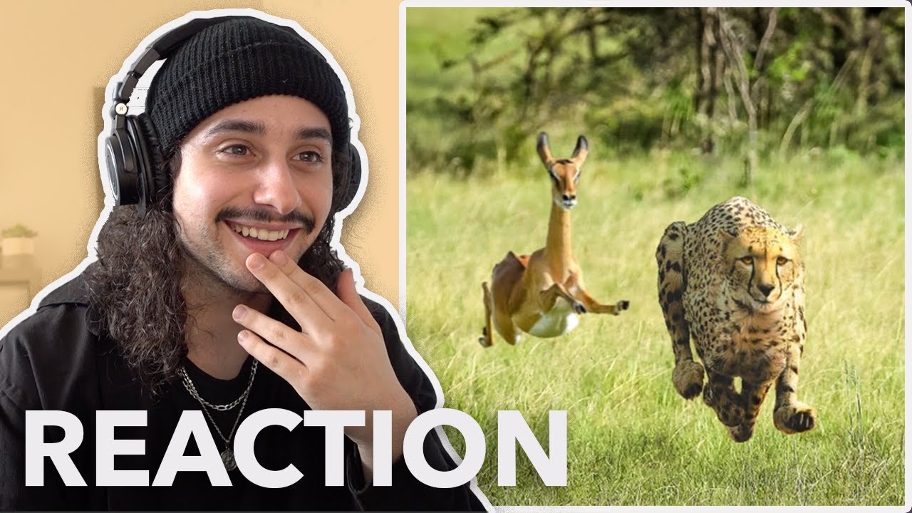 Thundercat & Tame Impala - No More Lies (SONG REACTION)