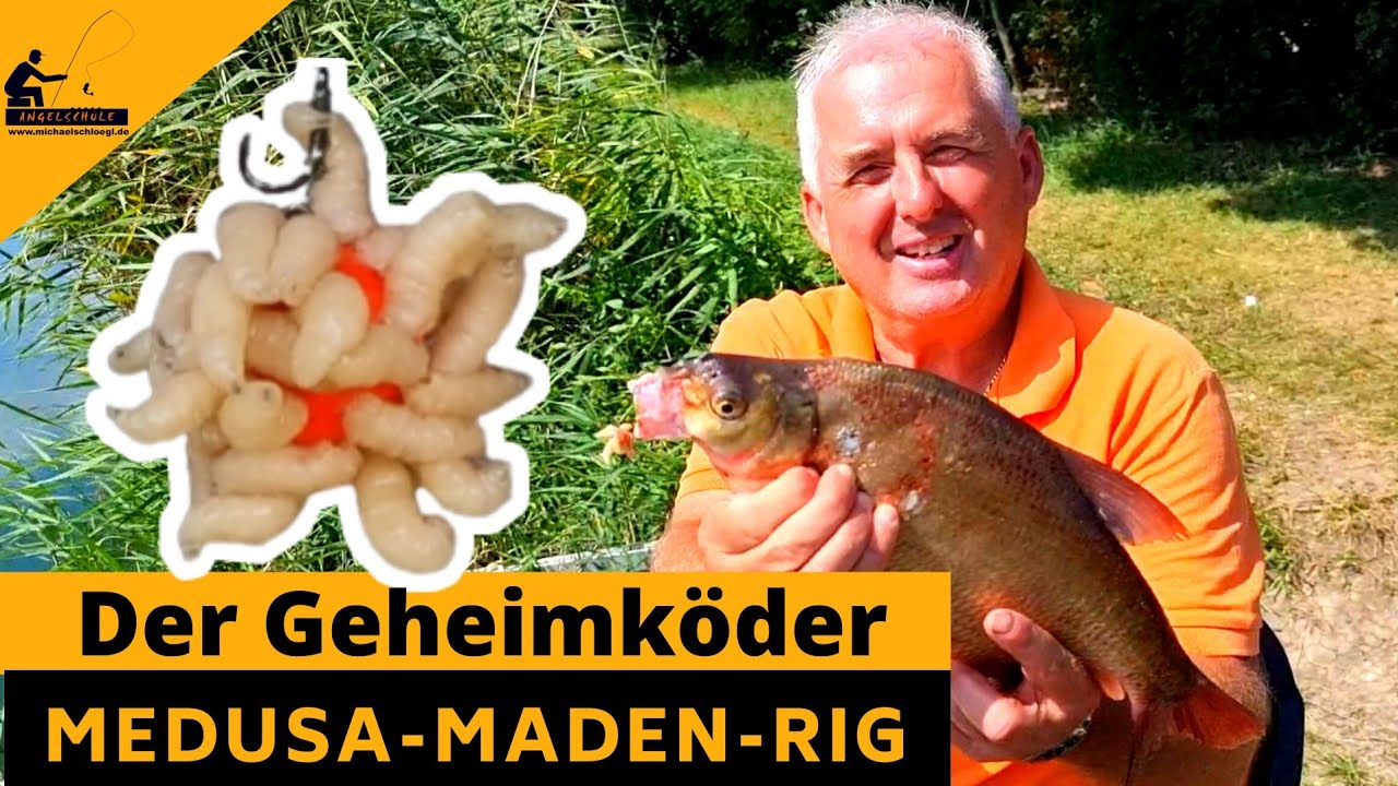 DER QUIRLIGSTE Hakenköder - Medusa Maden Rig