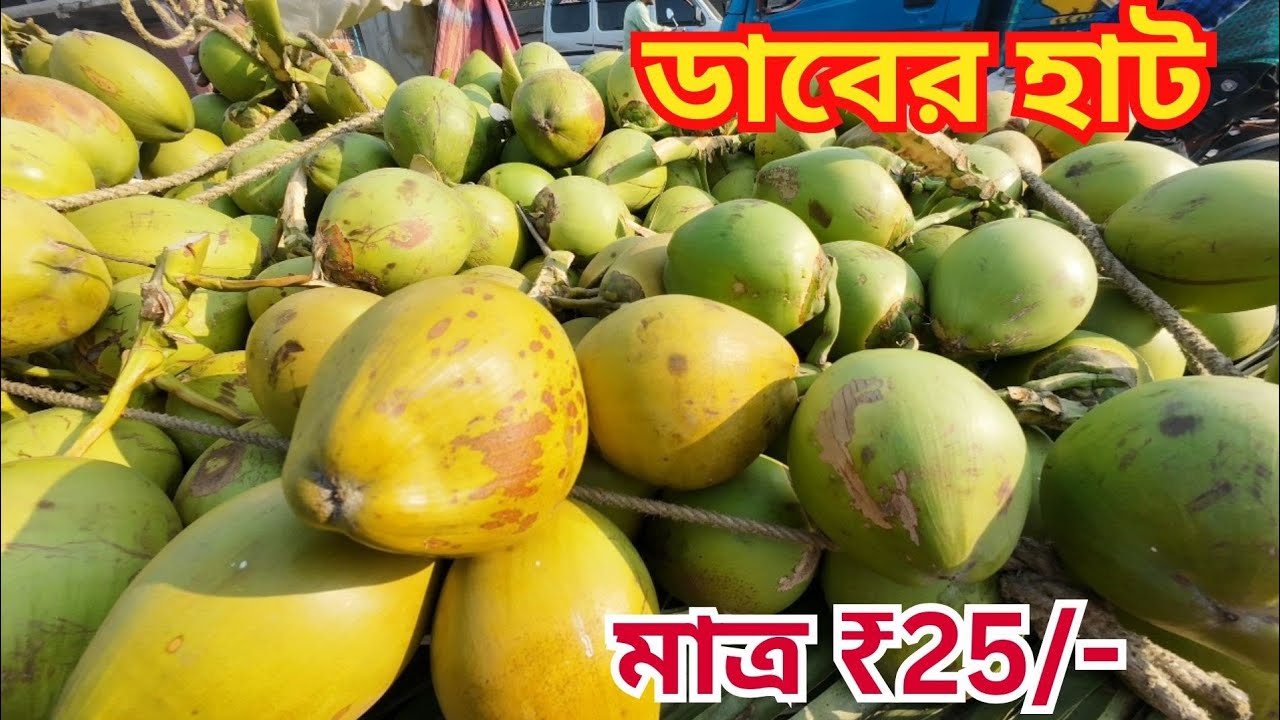 সরাসরি চাষীদের থেকে ডাব কিনুন | ডাবের পাইকারি বাজার। Dab Wholesale Market | Coconut wholesale market