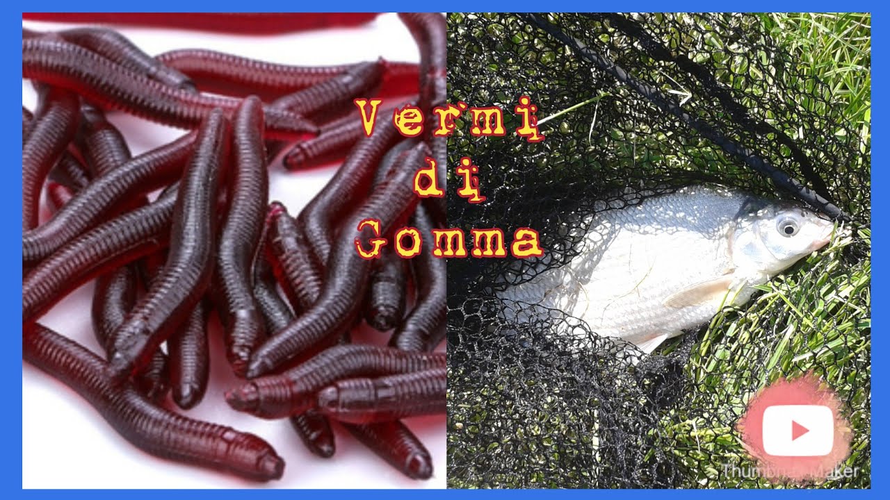 PESCARE CON I VERMI DI GOMMA