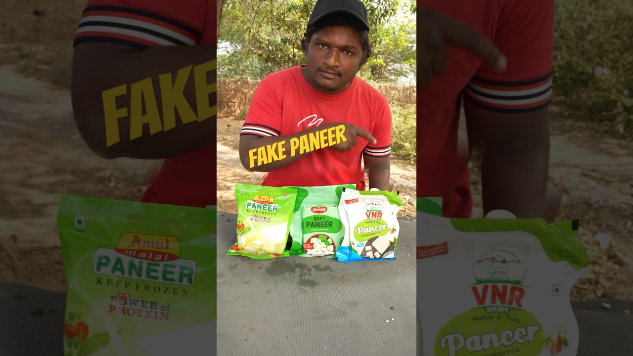 Testing Fake Paneer