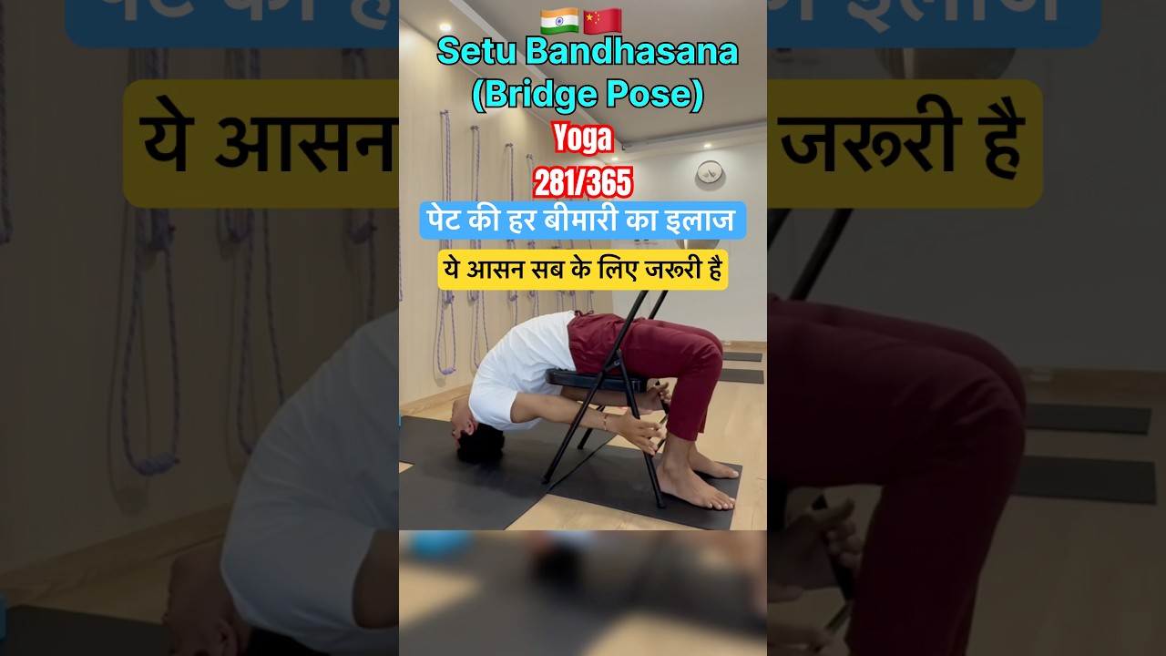 Chair Se Setu Bandh (Bridge Pose) Kaise Karen? 🪑 | Step-by-Step Guide | Yoga for Back Pain Relief