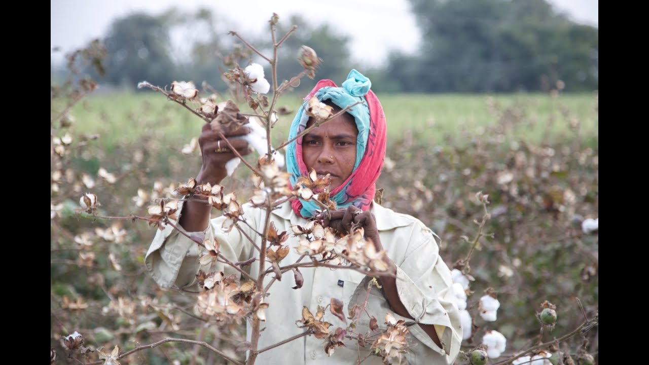 Baumwollernte bis zum Bedrucken der Stoffe in Indien