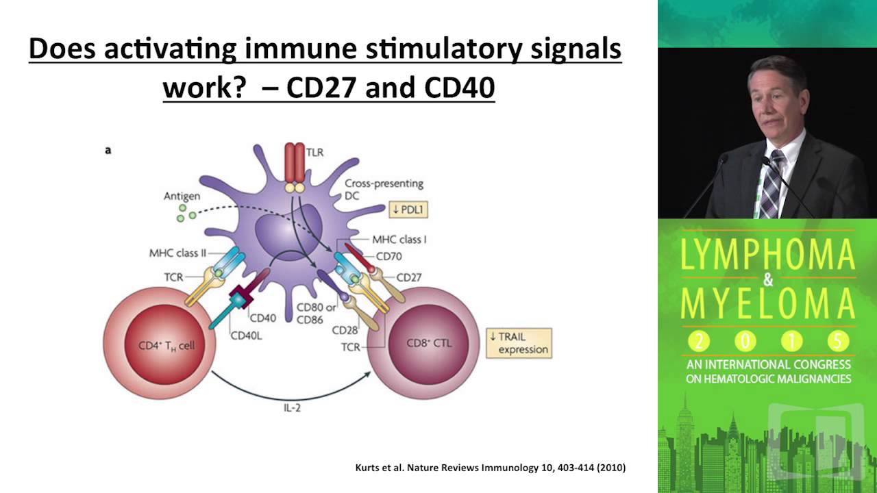 Immune Checkpoint Inhibitors in Hodgkin and non-Hodgkin Lymphoma