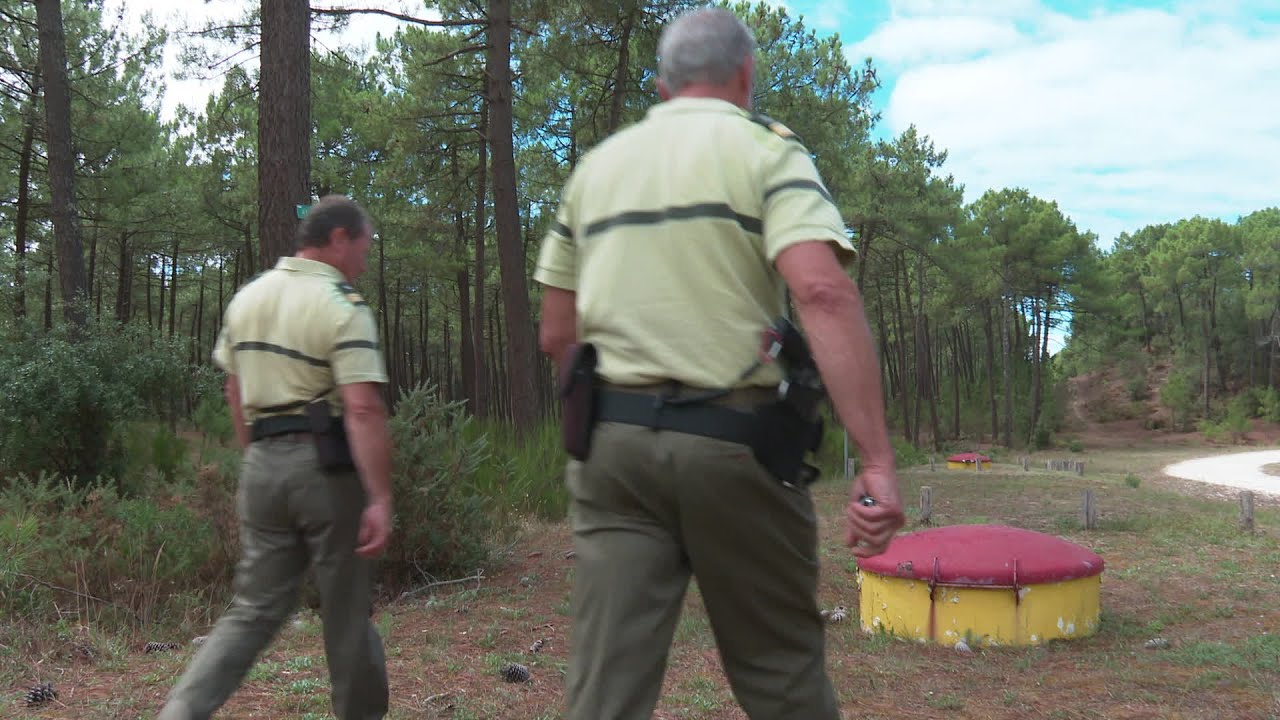 Les agents de forêts ONF se font trop rares dans la forêt de la Coubre