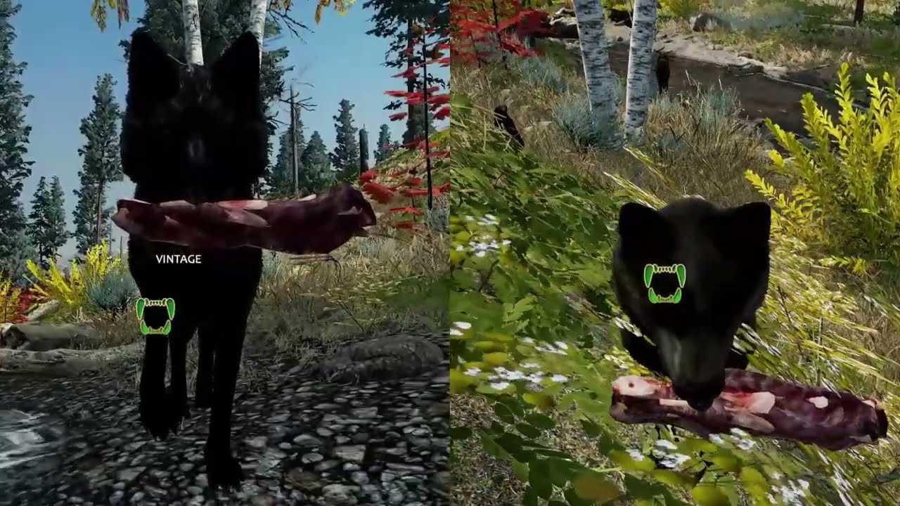 WOLFQUEST'S BEST: VINTAGE AND DETOX-EP.9 #wolflife,#gamers,#collaboration,#wolfquest