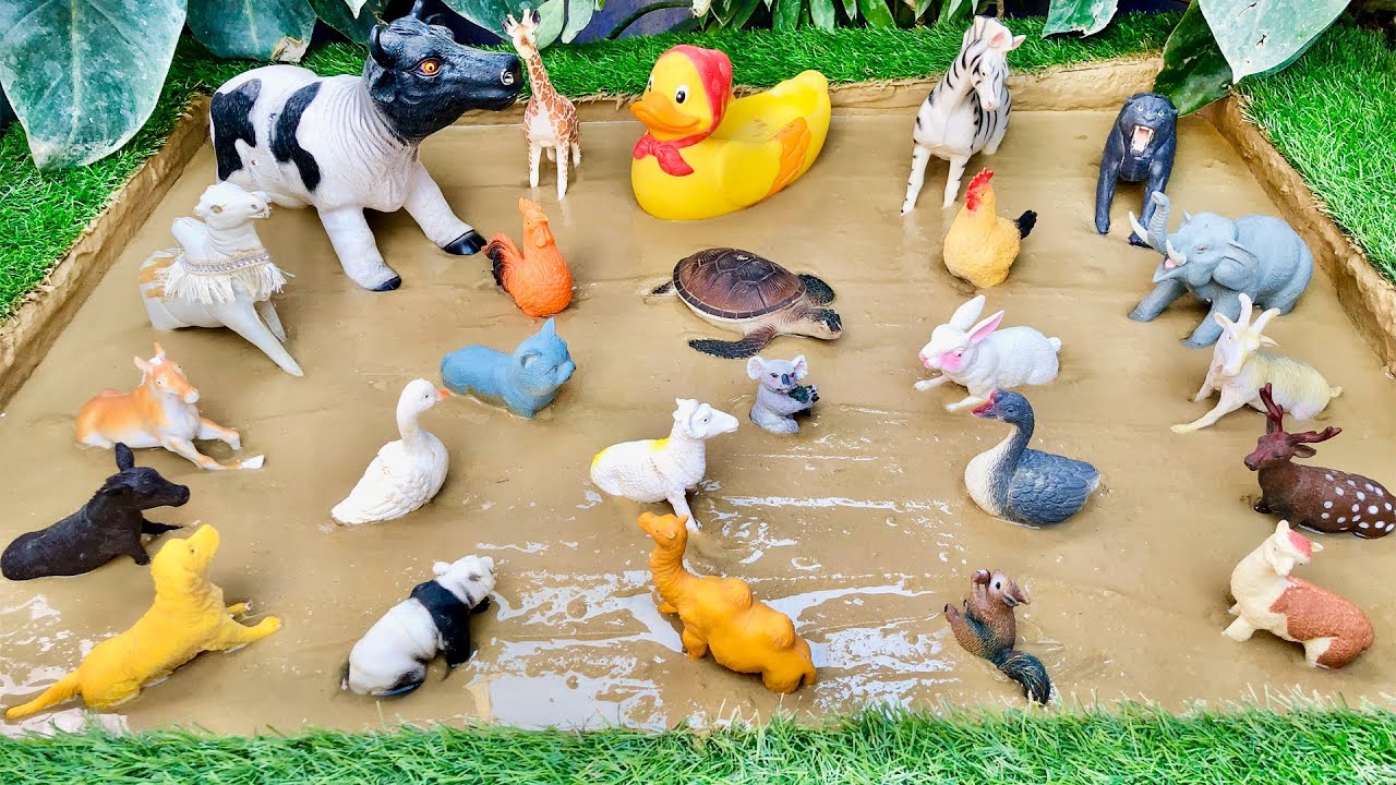 Muddy Cuties: Adorable Pet and Farm Animals Stuck in Mud! 🐰🐥 Learning with Lovely Animals