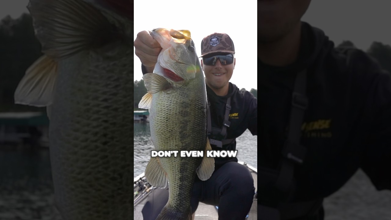 Do Largemouth Bass TASTE GOOD?!  #fishing