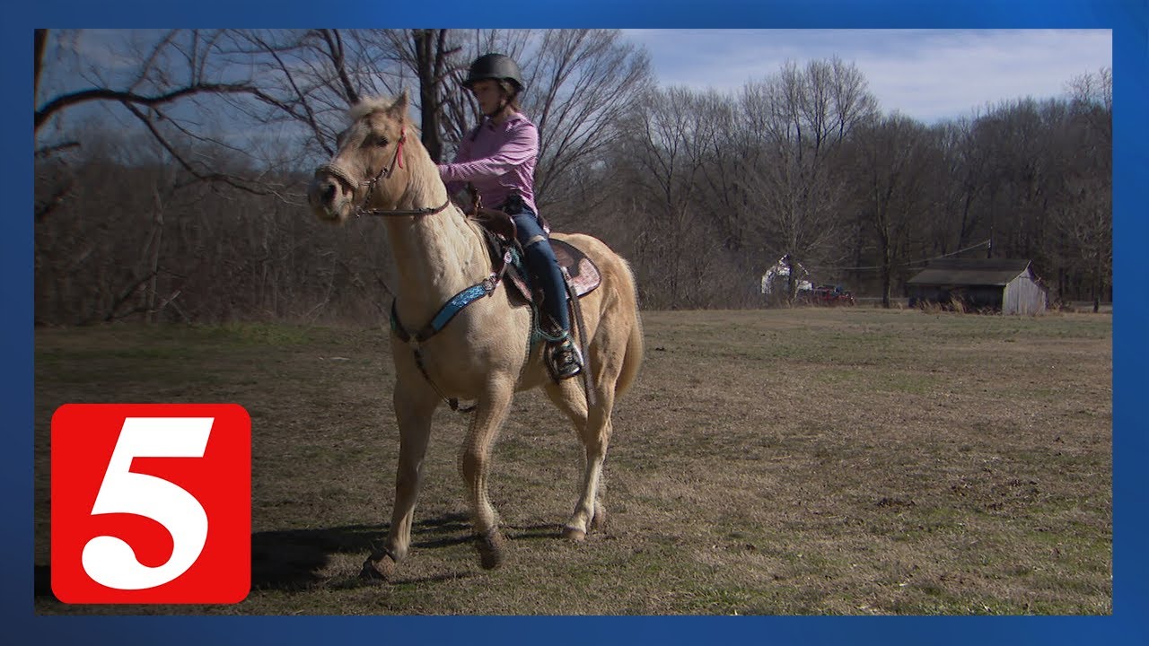 McEwen family searching for answers after rodeo horse is shot and killed
