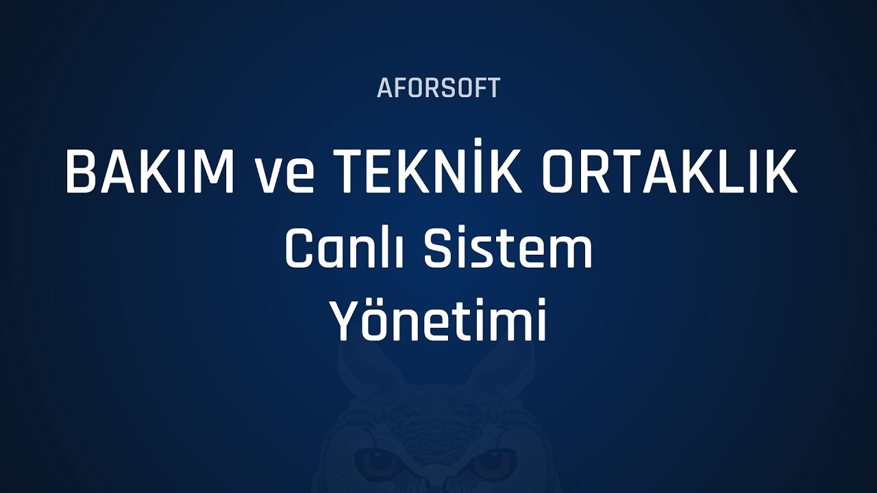 Yazılım Geliştirmenin Sonraki Aşaması: Bakım ve Teknik Ortaklık