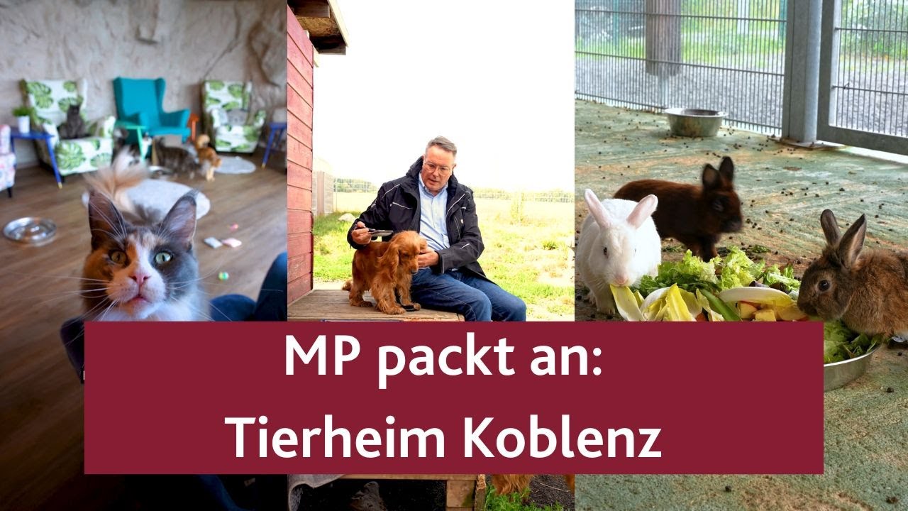MP packt an: Tierheim Koblenz (Langfassung)