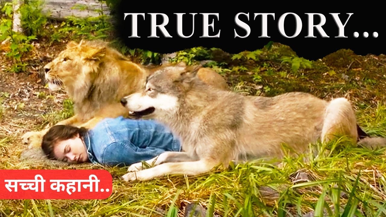 The Wolf and the Lion 2021 full movie explained in hindi | adventure movie explained in hindi