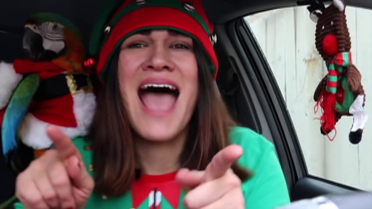 [OFFICIAL VIDEO] MERRY CHRISTMAS FROM HOPE THE MACAW AND ME!
