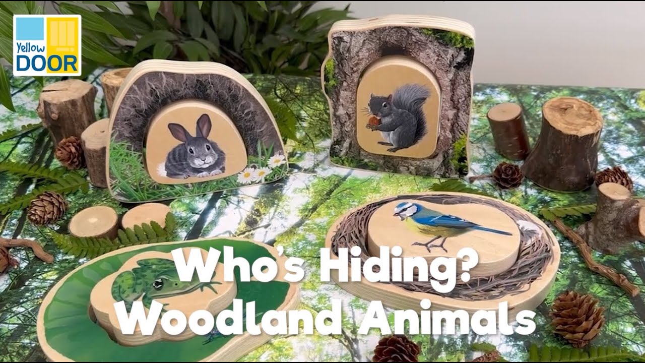 Who's Hiding - Woodland Animals