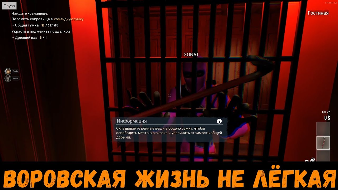 ВОРОВСКАЯ ЖИЗНЬ НЕ ЛЁГКАЯ 