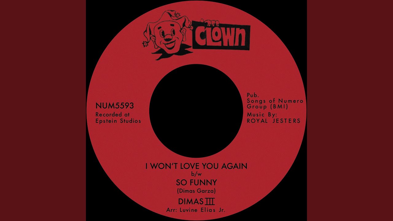 I Won't Love You Again