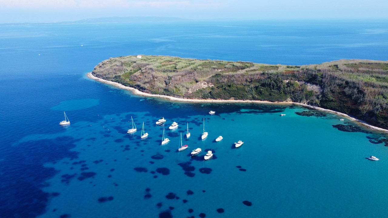 Beautiful island of Lussinpicollo ♥️. Summertime, dolphins 🐬and more...