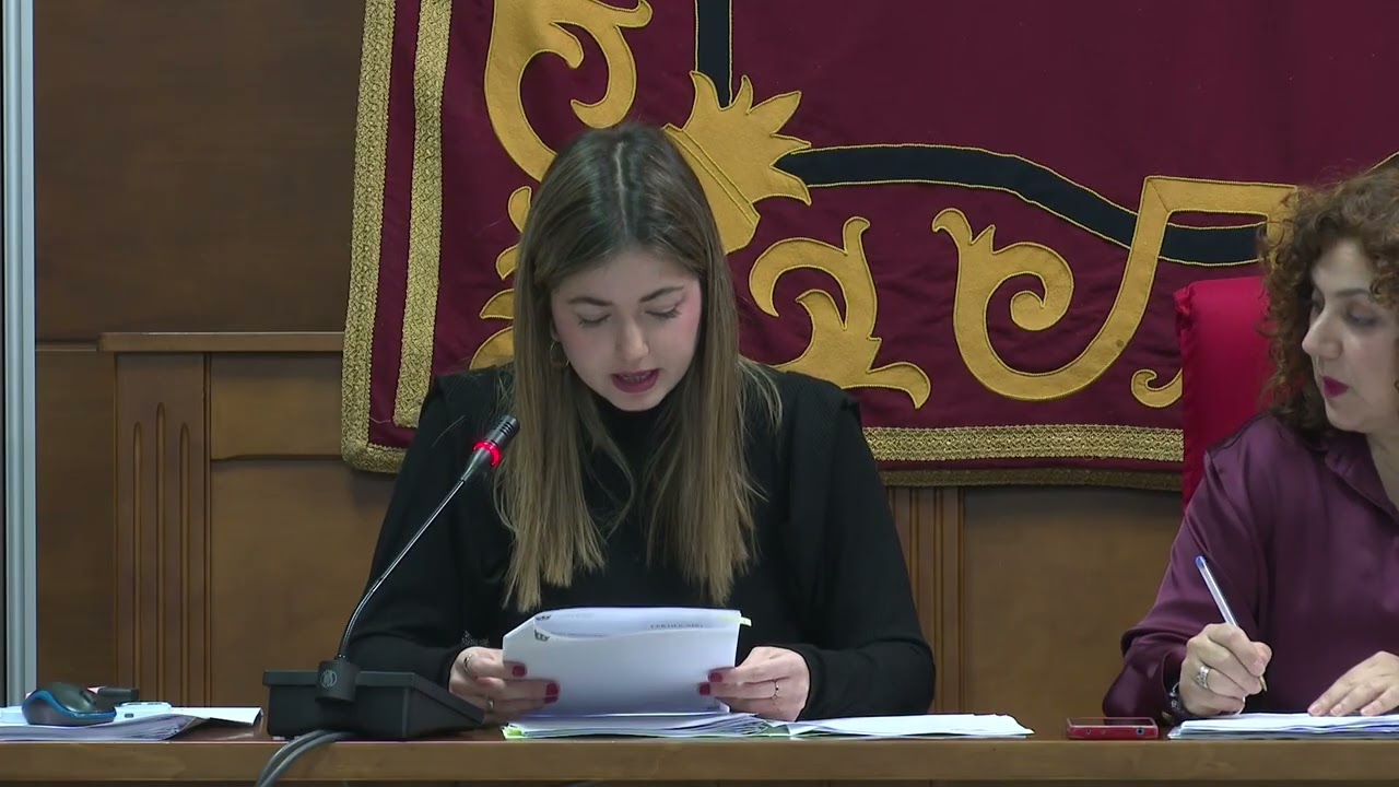 PLENO ORDINARIO   30 01 25