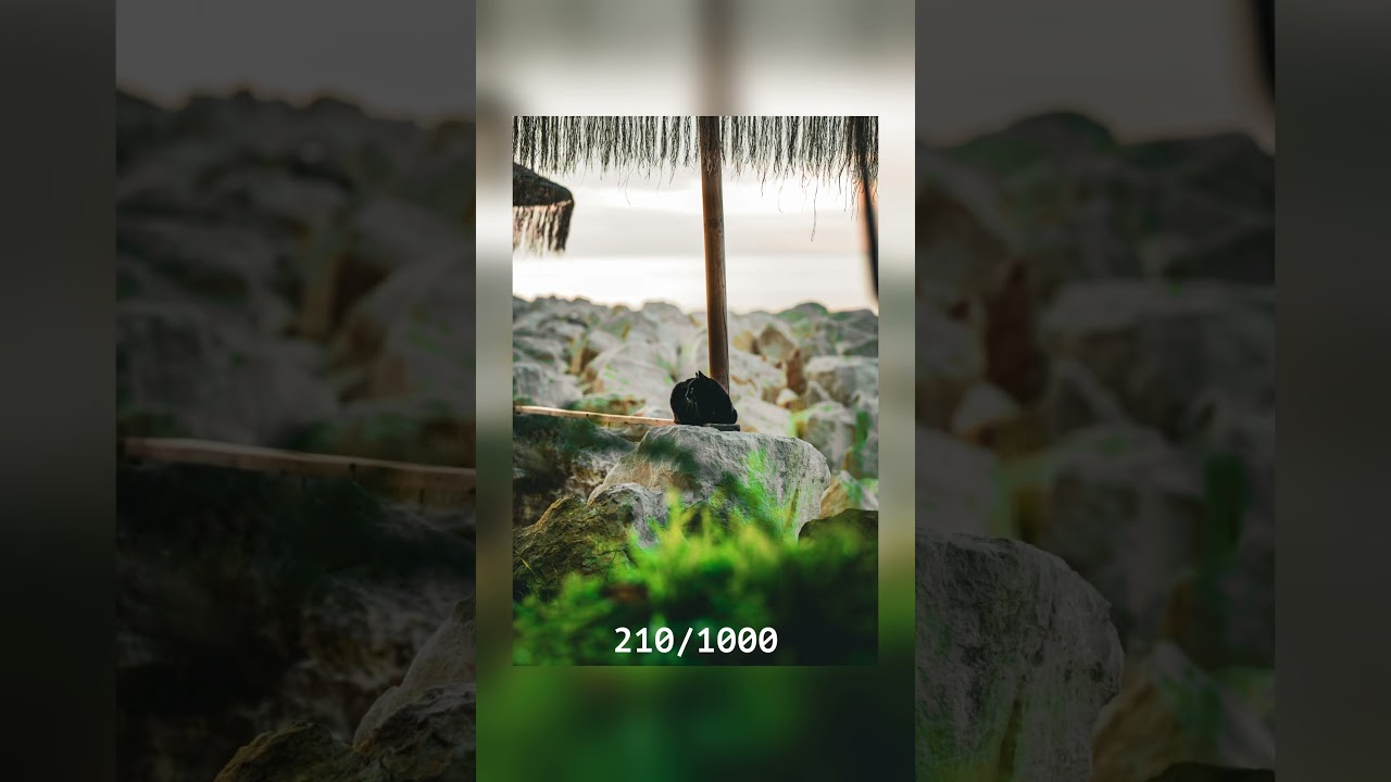 Photo Process 210/1000 📸 From setup to final image. 