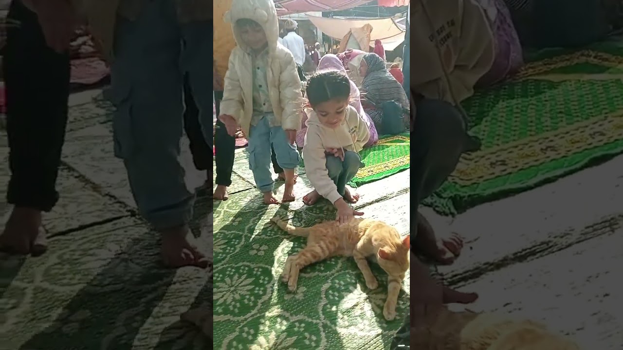 Darbar E Khwaja Garib Nawaz Mu'in al-Din Hasan Chishti, Ajmer Sharif