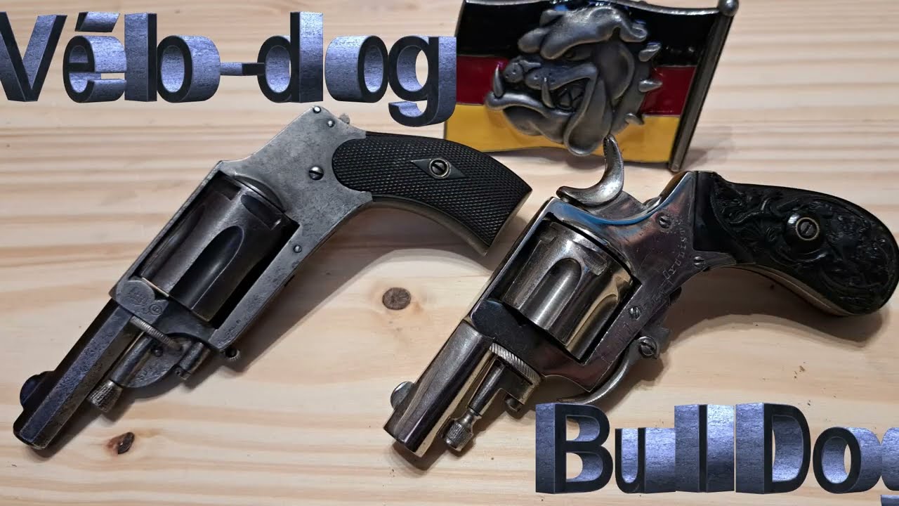 Vélo-dog & BullDog