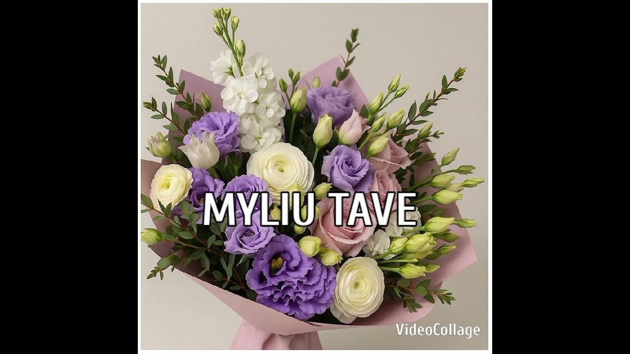 DJSTIRNIUKAS MYLIU TAVE