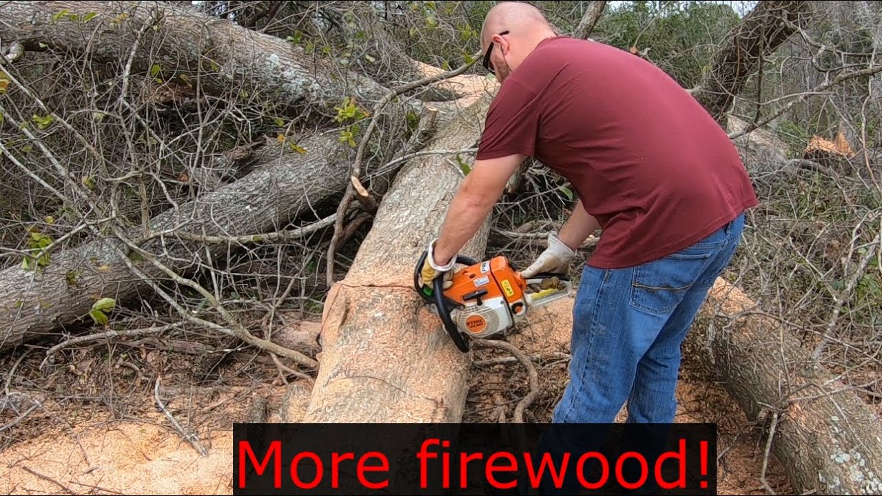 #80, MORE FIREWOOD! Stihl MS260 PRO