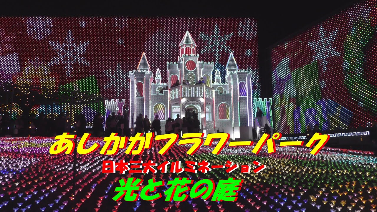 あしかがフラワーパーク