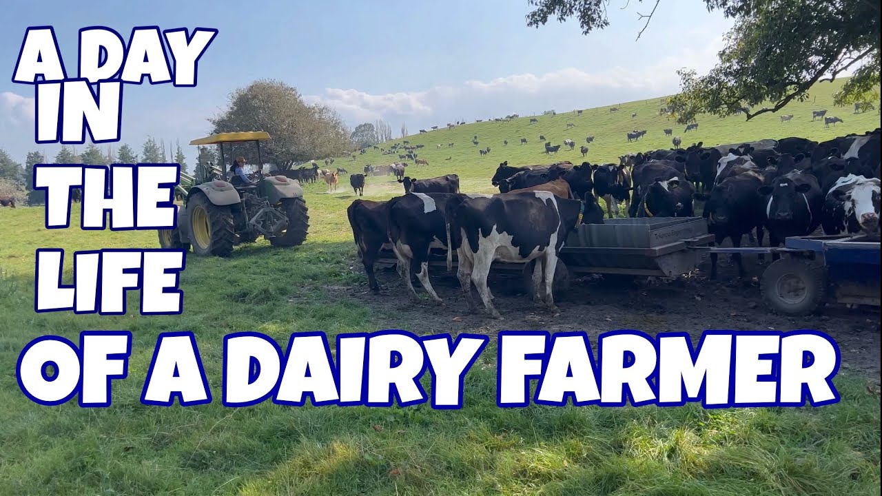 PINAY DAIRY FARMER SA NEW ZEALAND
