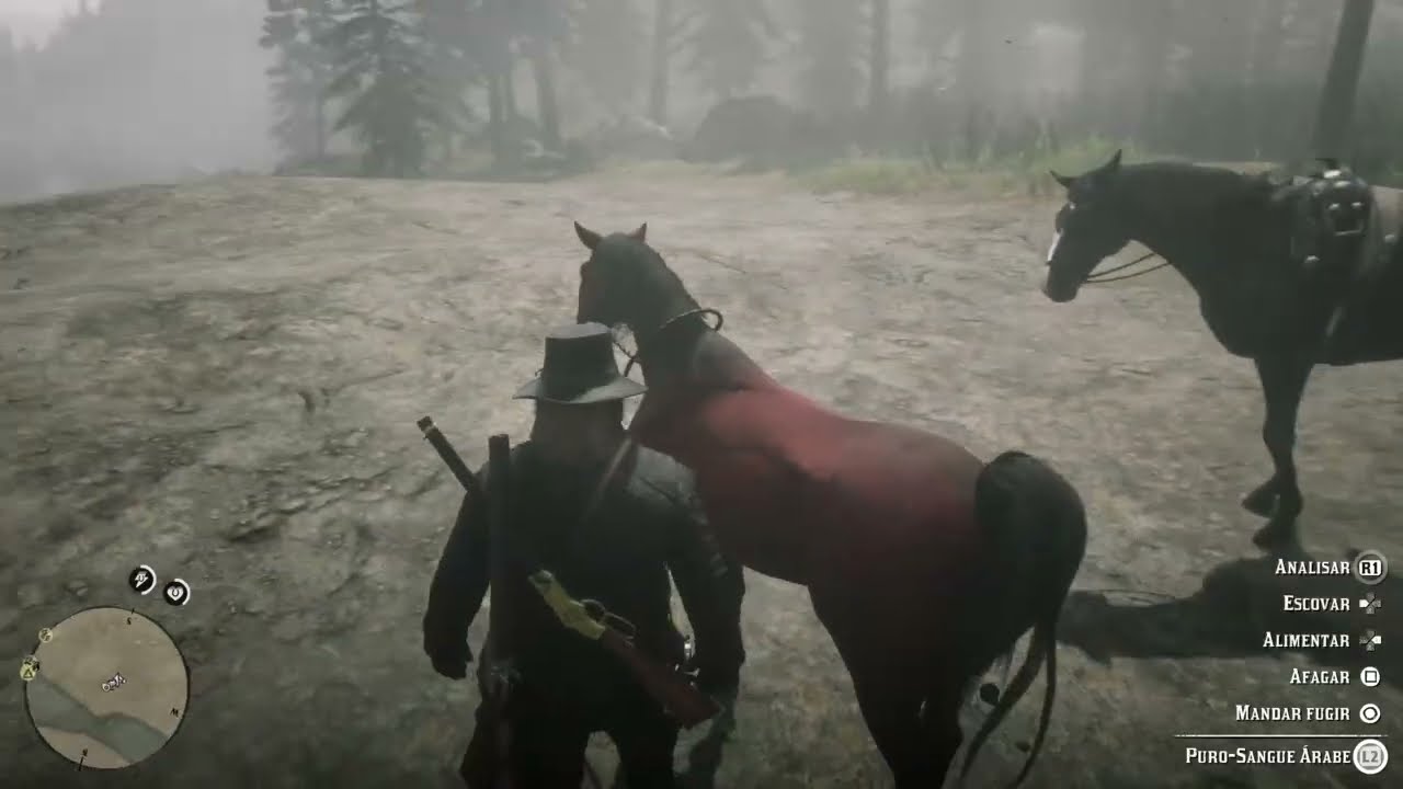 Red Dead Redemption 2 - Puro Sangue arabe De cor avermelhada