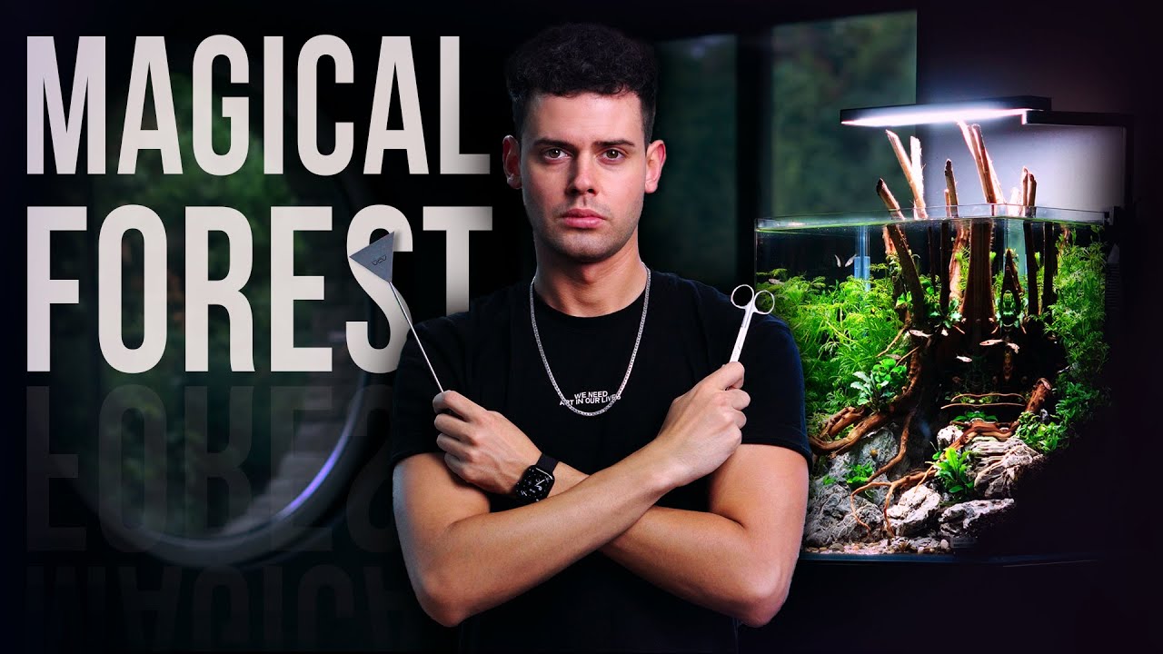 MAGICAL FOREST in a 30 Liter Nano Aquarium