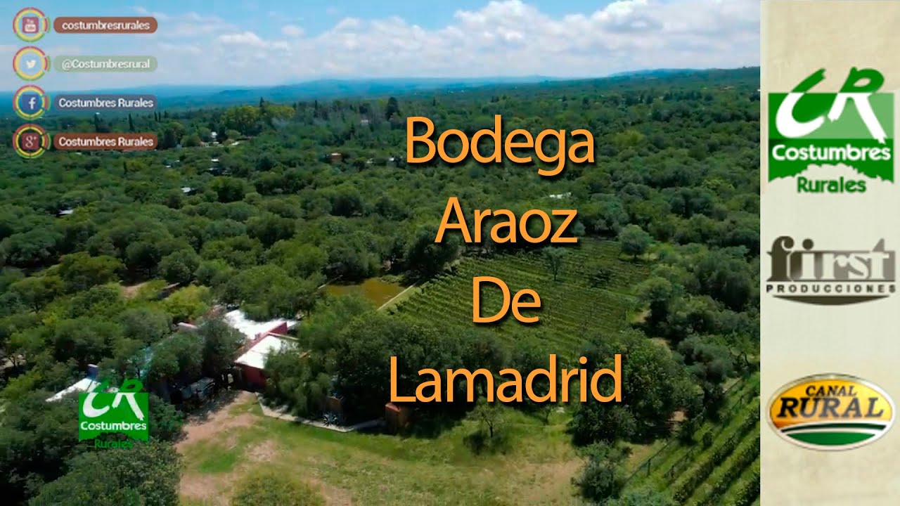 Bodega Araoz De Lamadrid - CR#976