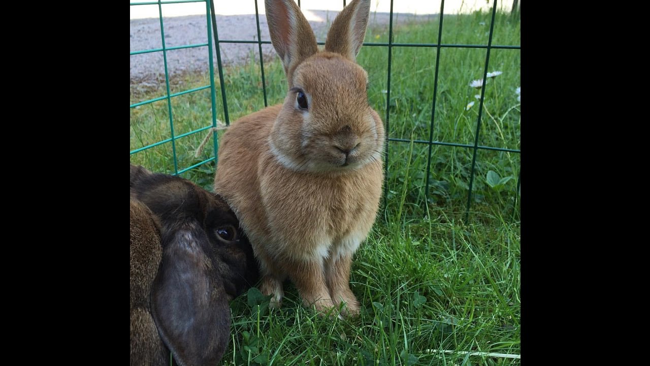 ihopsättningen del 1
