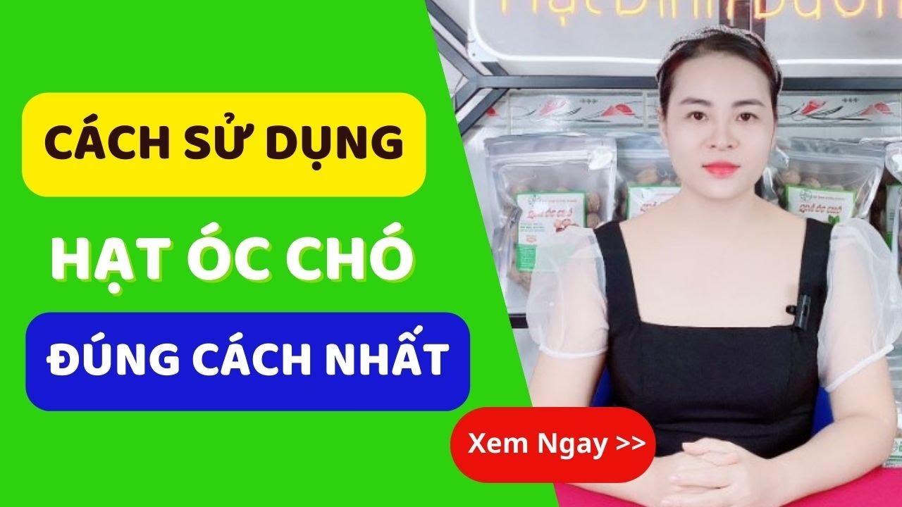 C&aacute;ch Sử Dụng Quả &Oacute;c Ch&oacute; | Ăn Hạt &Oacute;c Ch&oacute; Đ&uacute;ng C&aacute;ch Nhất | HSaHa