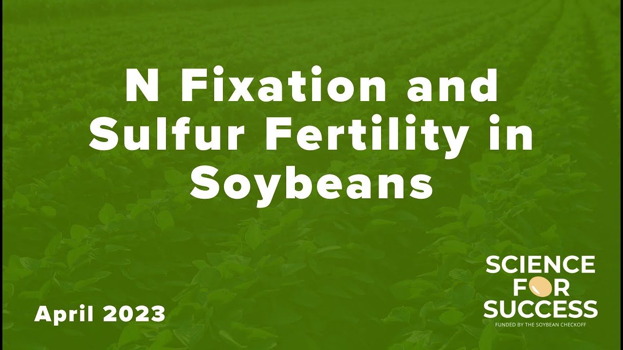 Nitrogen Fixation and Sulfur Fertility in Soybeans