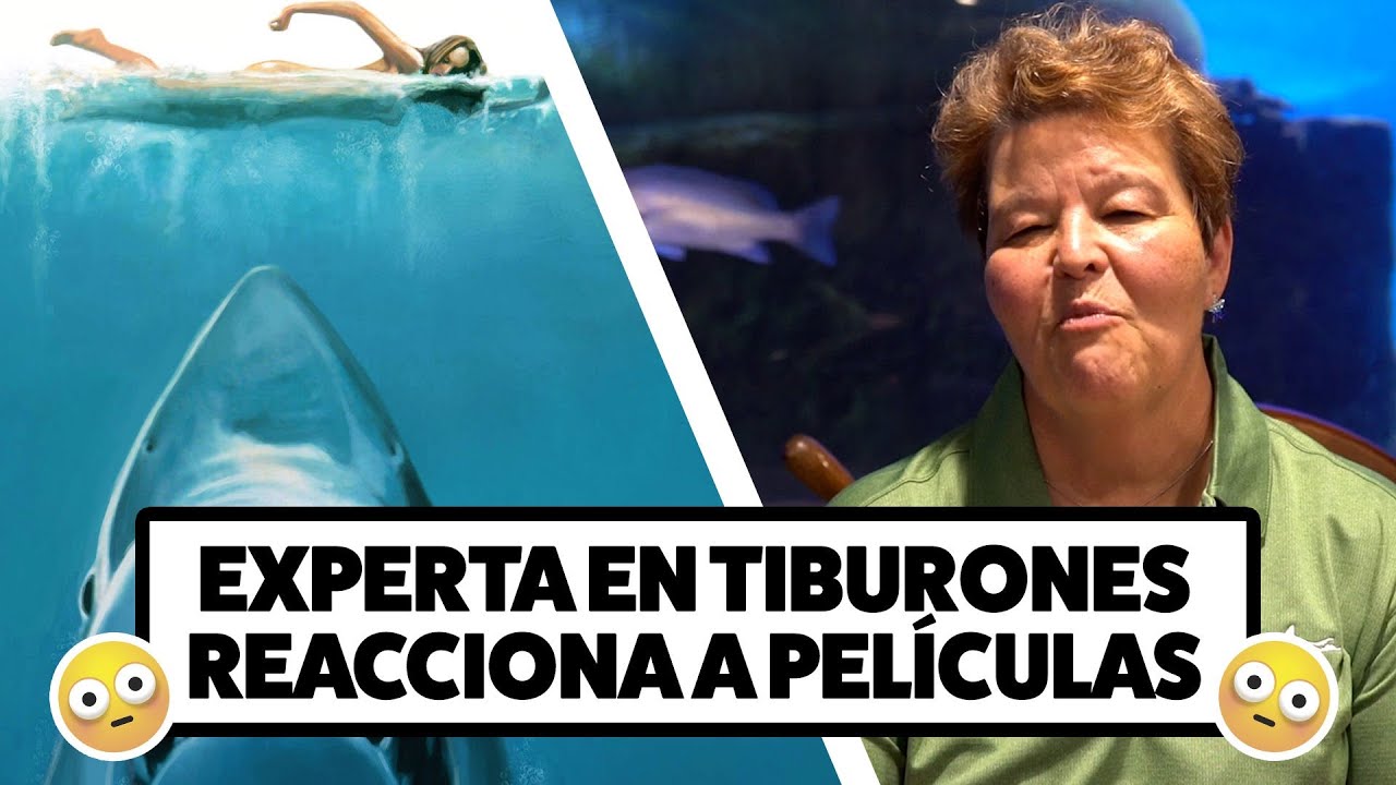 Experta en tiburones reacciona a películas con tiburones