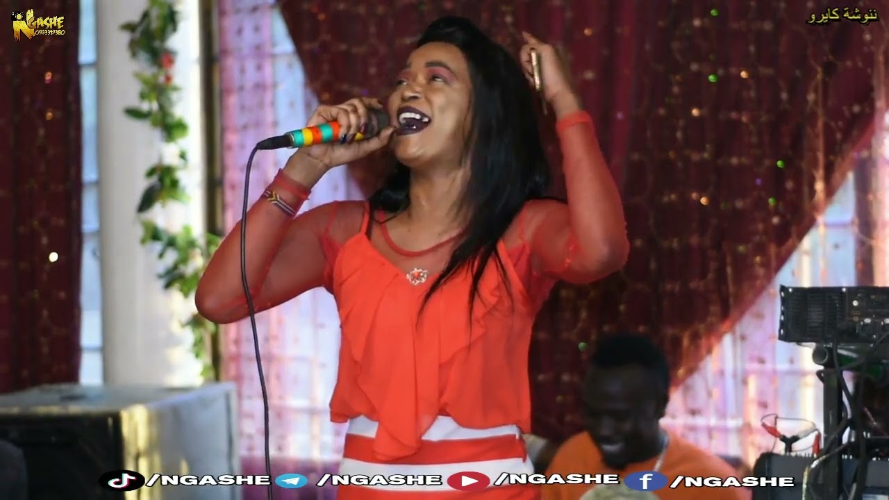 جـديـد + ننوشة كايرو + موسي باسطه + حبيبي جفانـــي شهـور+ حفله.فدراليةمكتب + 2022